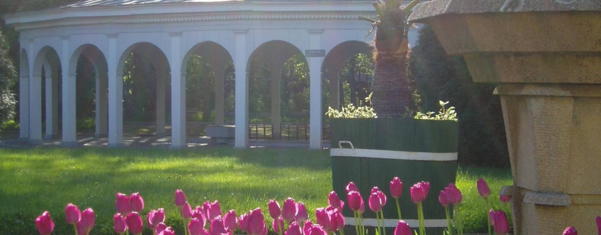 Goethe Spa & Medical Hotel - Franzensbader Vorteilstermine