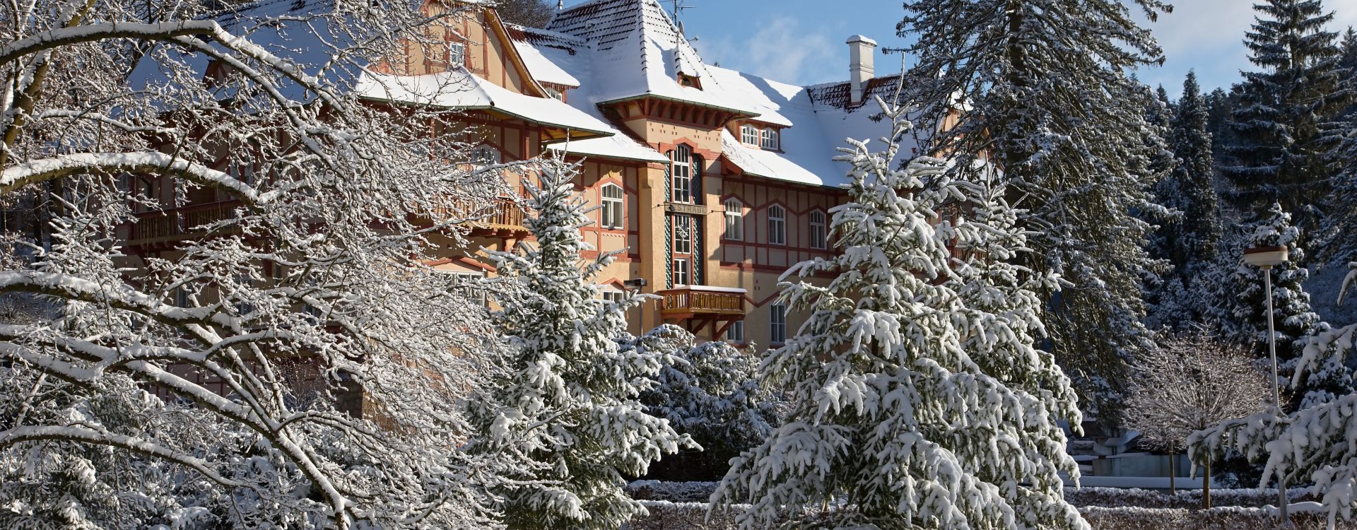 Hotel Jestřábí provozní přestávka od 3.1. - 15.2.2027
