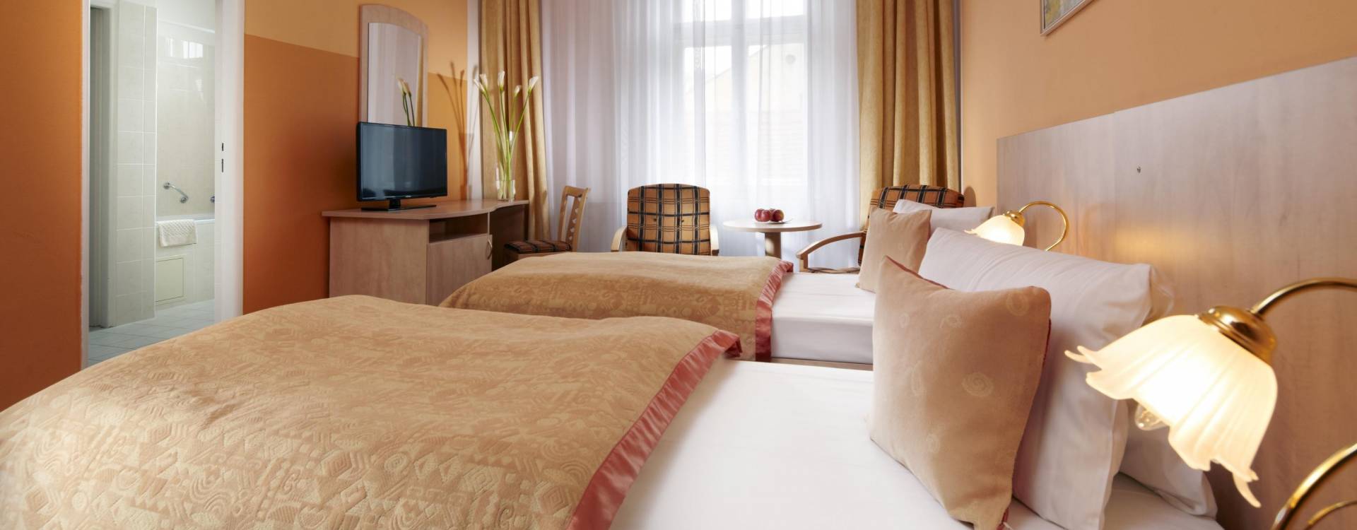 Goethe Spa & Medical Hotel - Hotelové ubytování