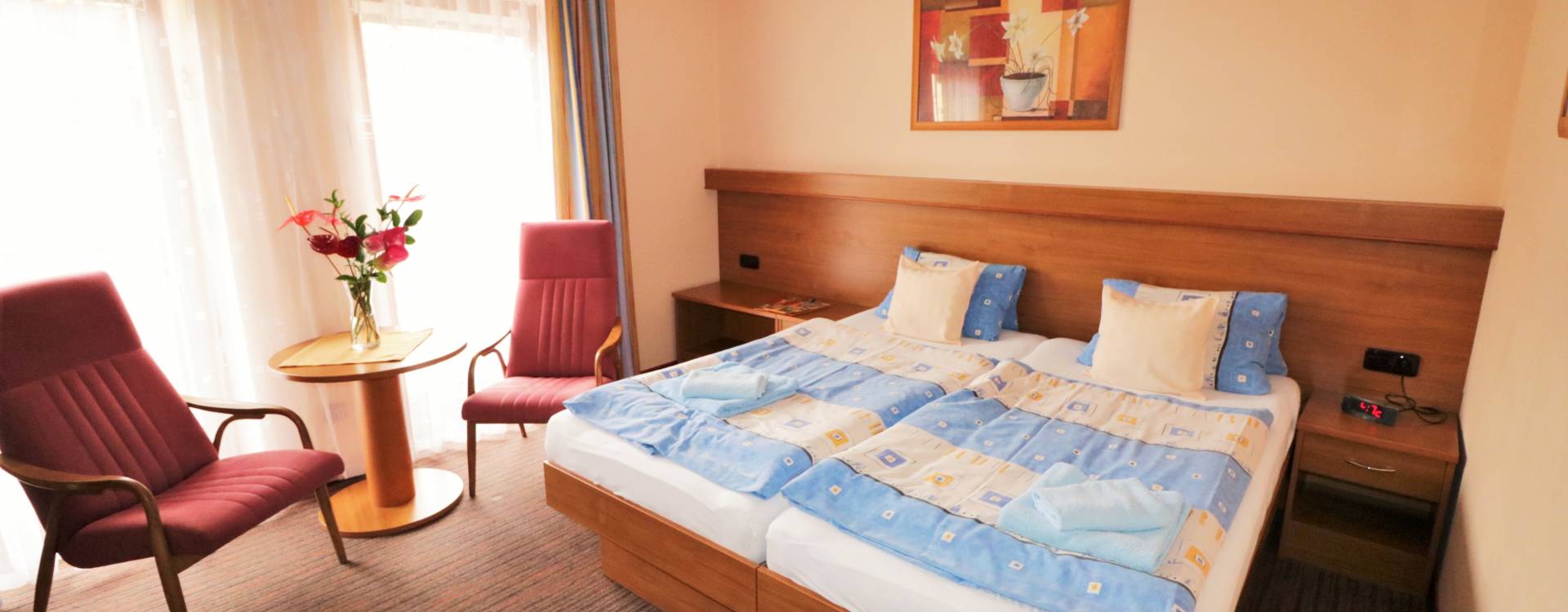 Lázeňský dům Palace II - Hotelové ubytování