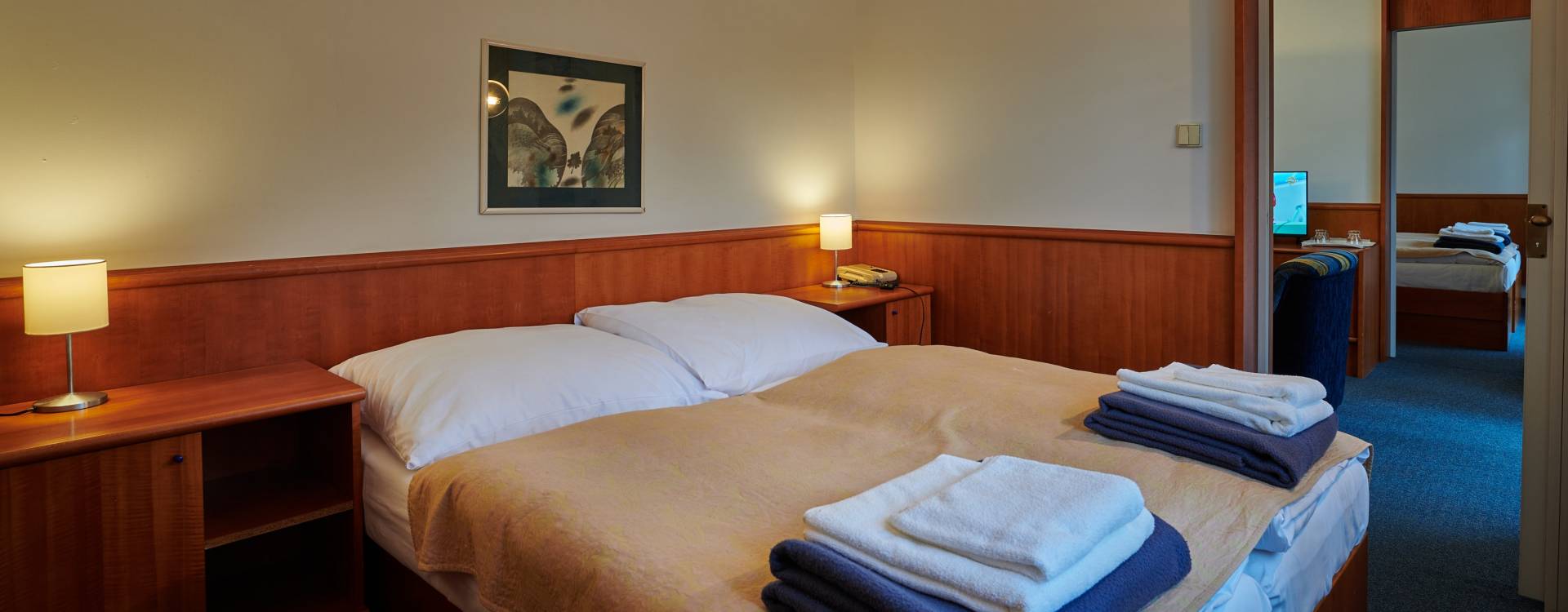 Lázeňský hotel Palace - Hotelové ubytování