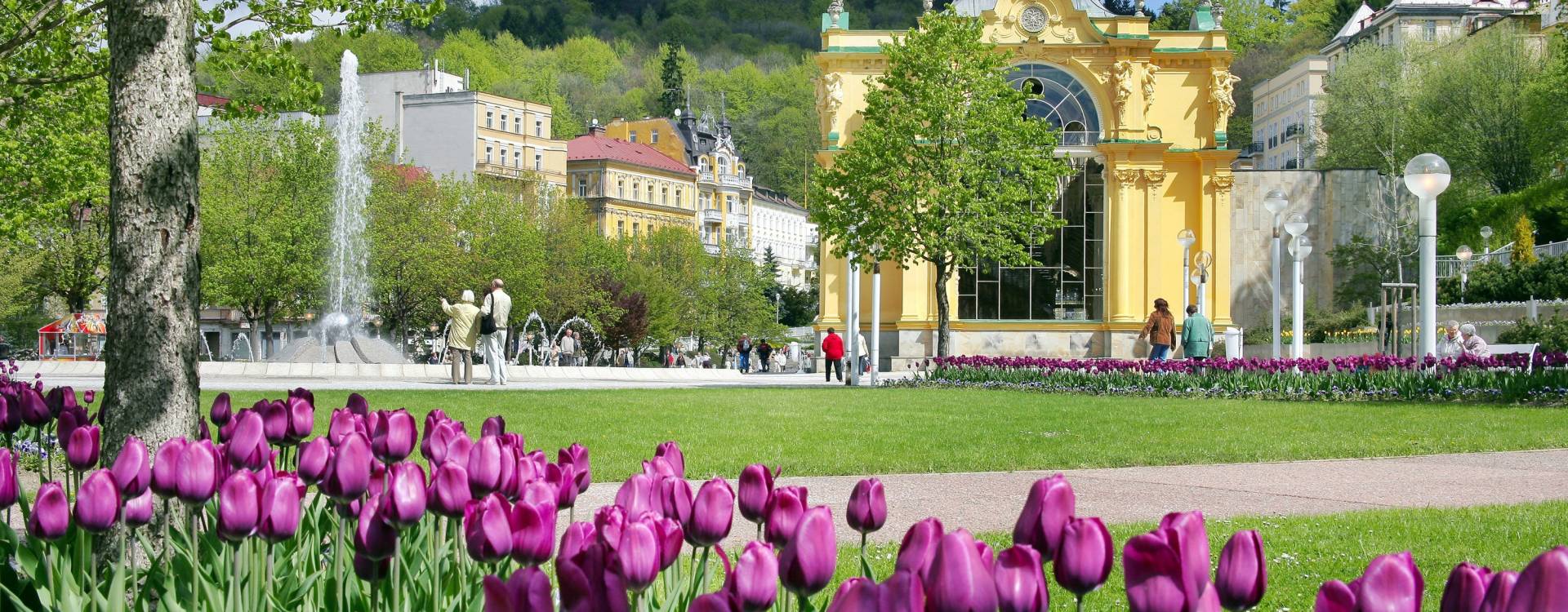 Spa Hotel Butterfly - Mariánské Lázně se slevou