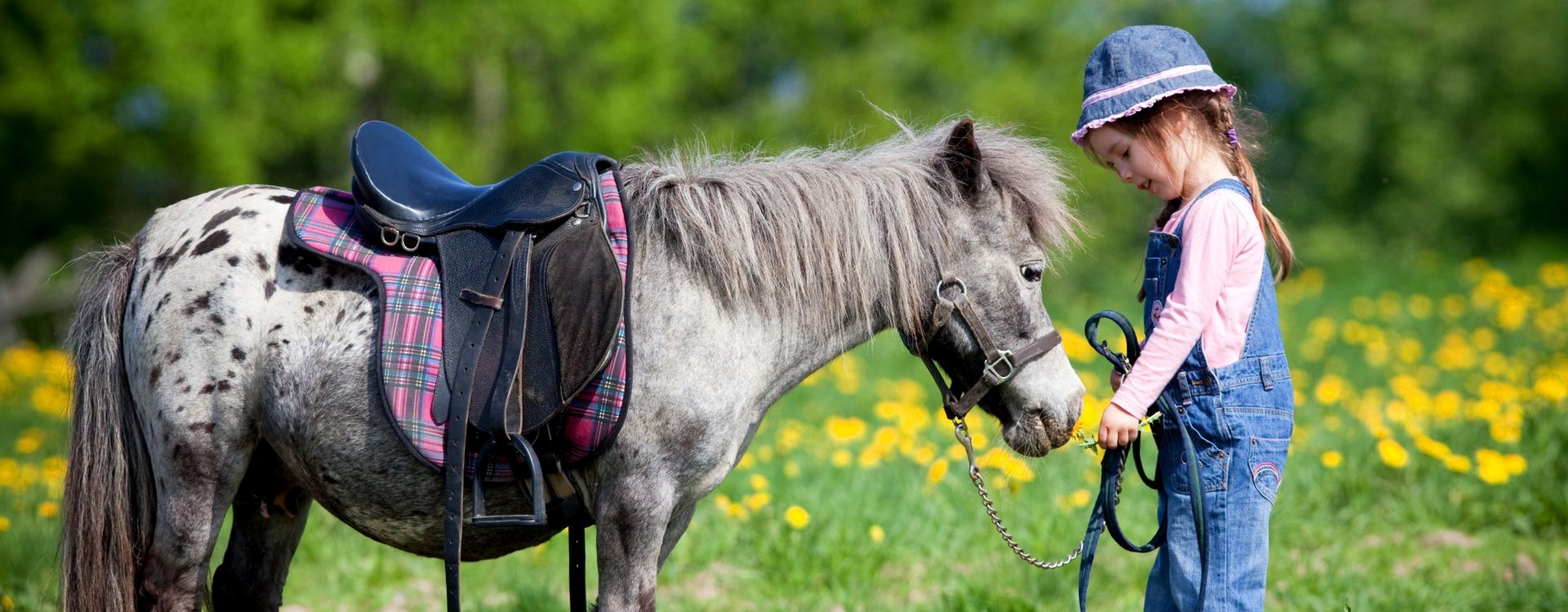 Horské Lázně Karlova Studánka - Jarní prázdniny