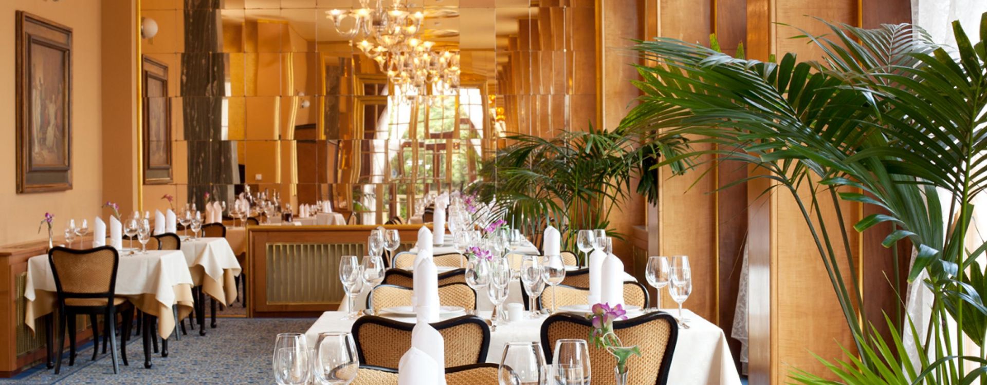 ALEXANDRIA**** Spa & Wellness hotel - Lázeňská dovolená Intensiv (21=18)