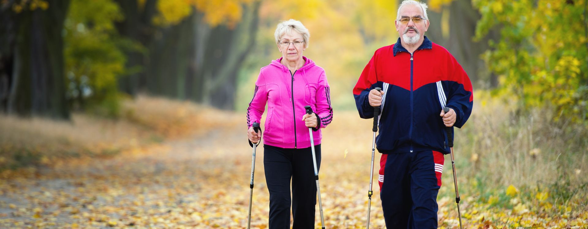 Lázně Bechyně - Depandance Jupiter - Pobyt Jupiter Spa Vitalita, 6&nbsp;nocí