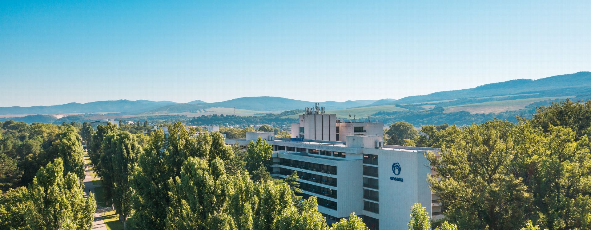 Revitalizace topolové aleje na Lázeňském ostrově
