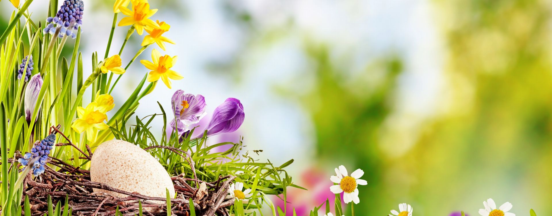 Běhounek Spa & Wellness - Senior 55+ - kopie, 7 Nächte