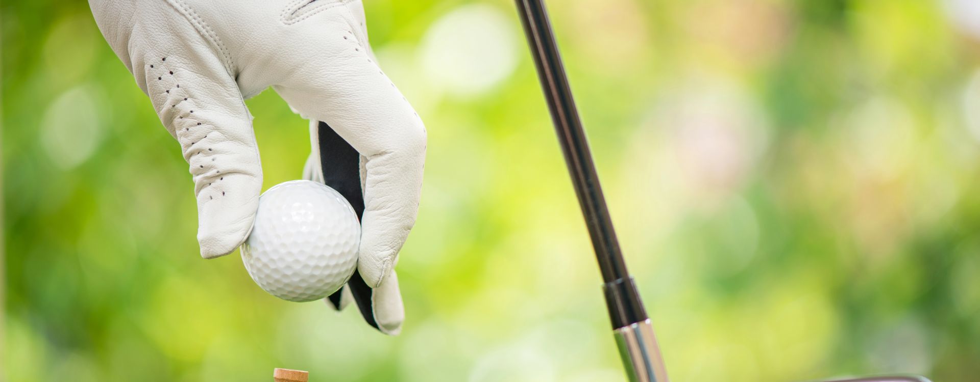 Cihelny Golf & Wellness Resort - Golf Tour