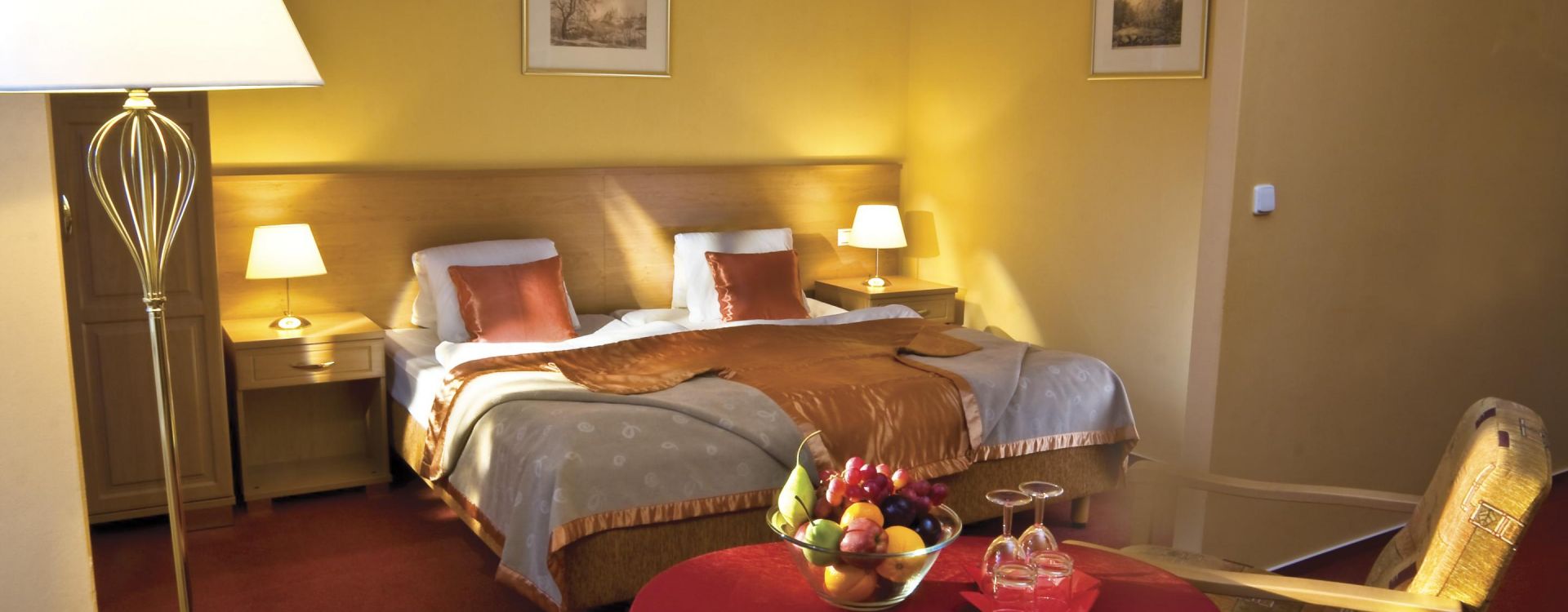 Savoy Spa & Medical Hotel - Ubytování se snídaní