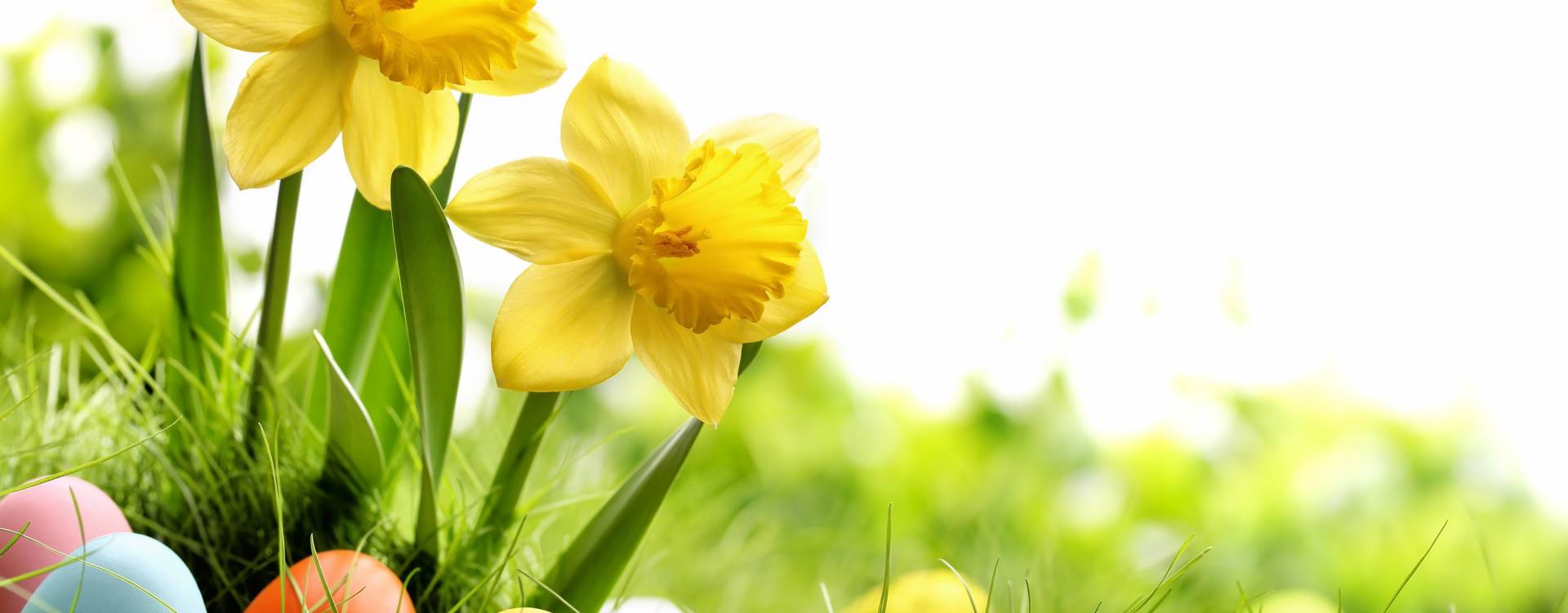 Lázeňský hotel Olga - Velikonoce v lázních, 4 noci