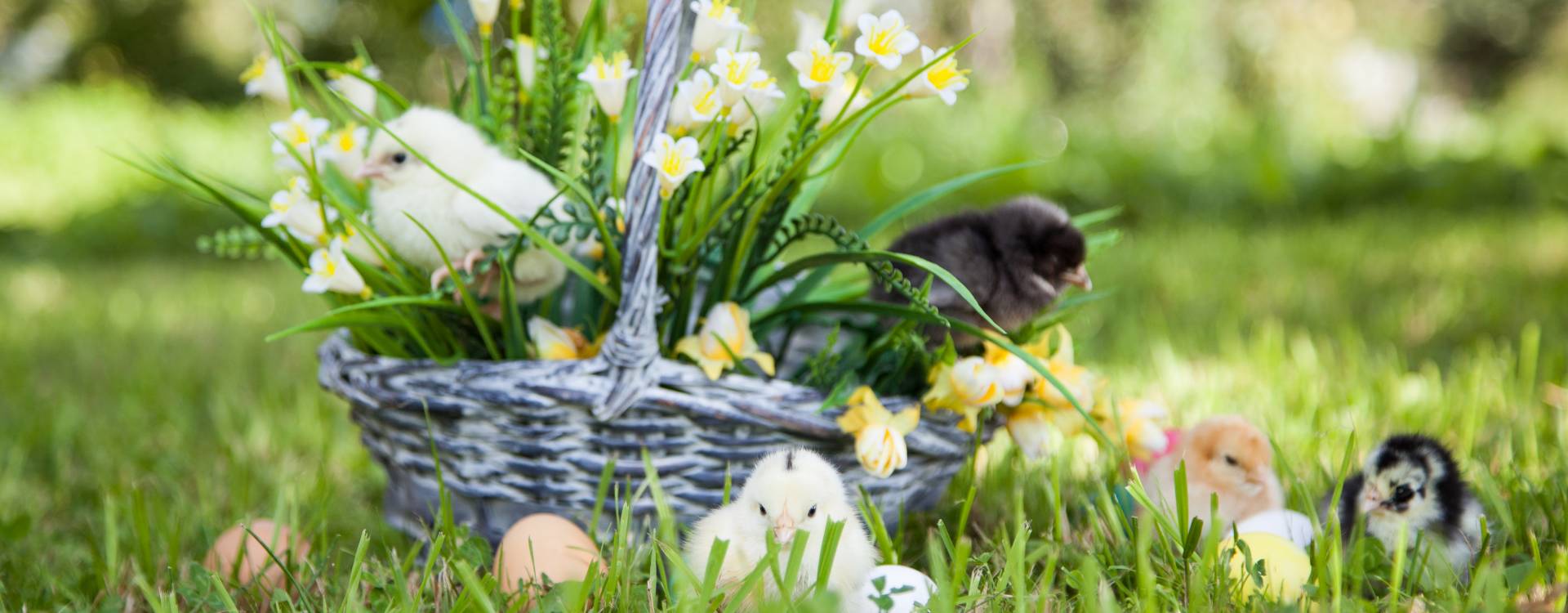 Wellness Hotel Kolštejn - Velikonoční wellness pobyt