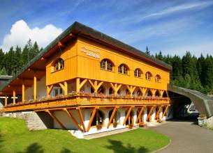 Hotel Lesana