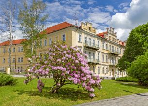 Hotel Luisa Františkovy Lázně