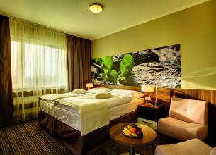 Ubytování se snídaní  v hotelu Mineral