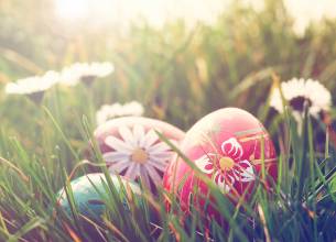 Velikonoční Dr.Klasik