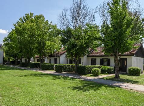 Bungalows Ptuj