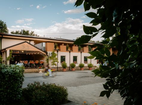 Hotel Elenka