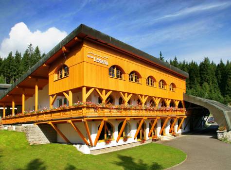 Hotel Lesana