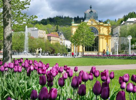 Frühlings-Kuraufenthalt