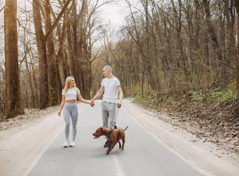 Lázeňský relax s pejskem, 2&nbsp;noci