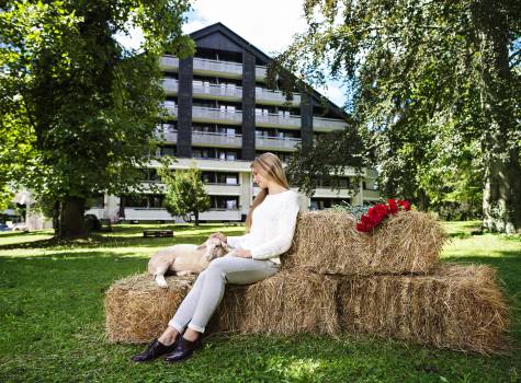 Relaxace u jezera Bled