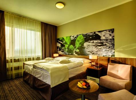 Ubytování se snídaní  v hotelu Mineral