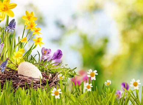 Velikonoční wellness týden, 8 nocí