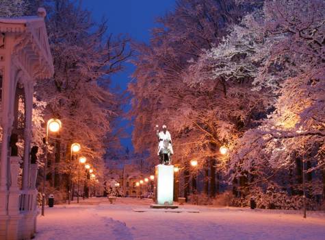 Weihnachtswoche, 7&nbsp;Nächte