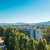 Revitalizace topolové aleje na Lázeňském ostrově