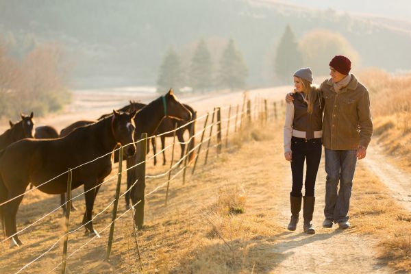 Pro milovníky koní (pro pokročilé), 2 noci