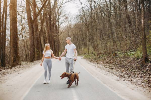 Lázeňský relax s pejskem, 2 noci