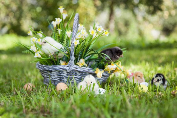 Winterentspannung mit Rabatt - kopie, 7 Nächte